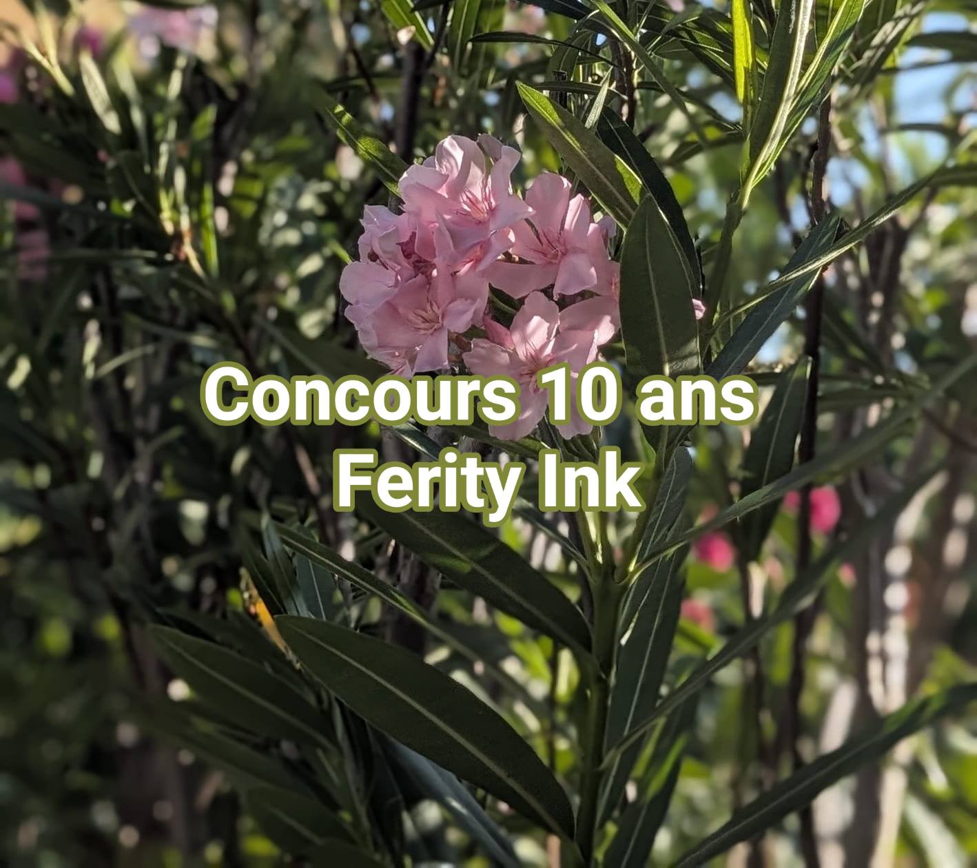 Ferity Ink - La gagnante de mon concours pour un maxi... | Facebook