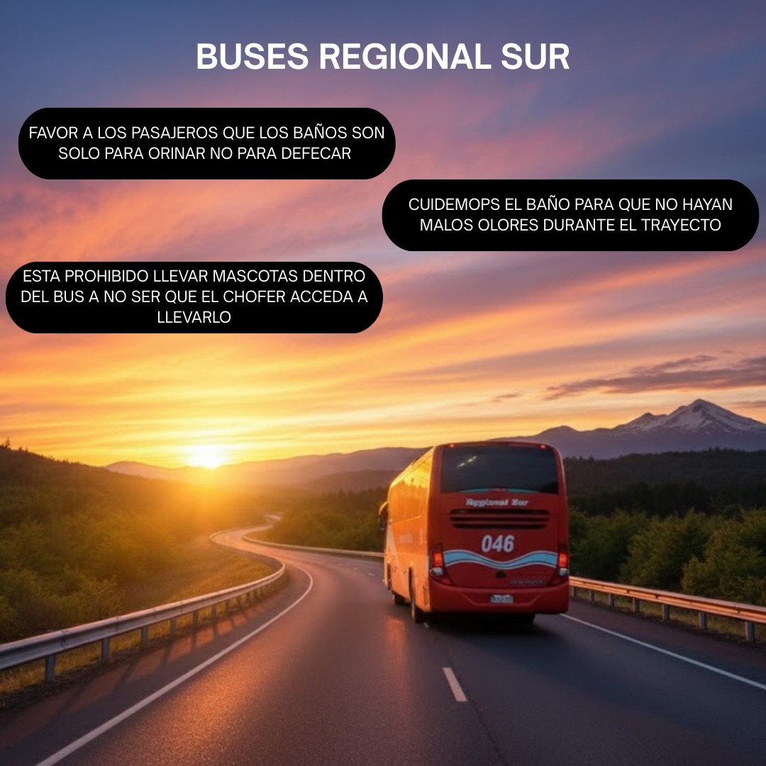 Regional - 🚌 Servicios Especiales – Buses Regional Sur 🚍 ¿Buscas ...