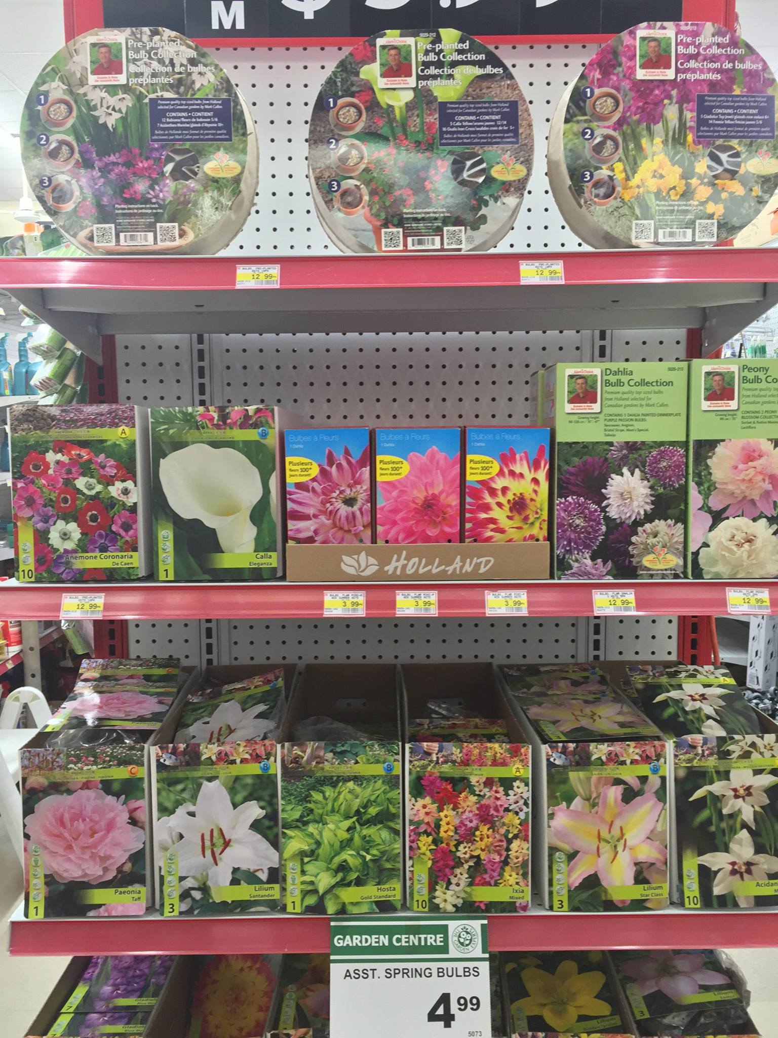 We have received our spring flower... - Capital Home Hardware | Facebook