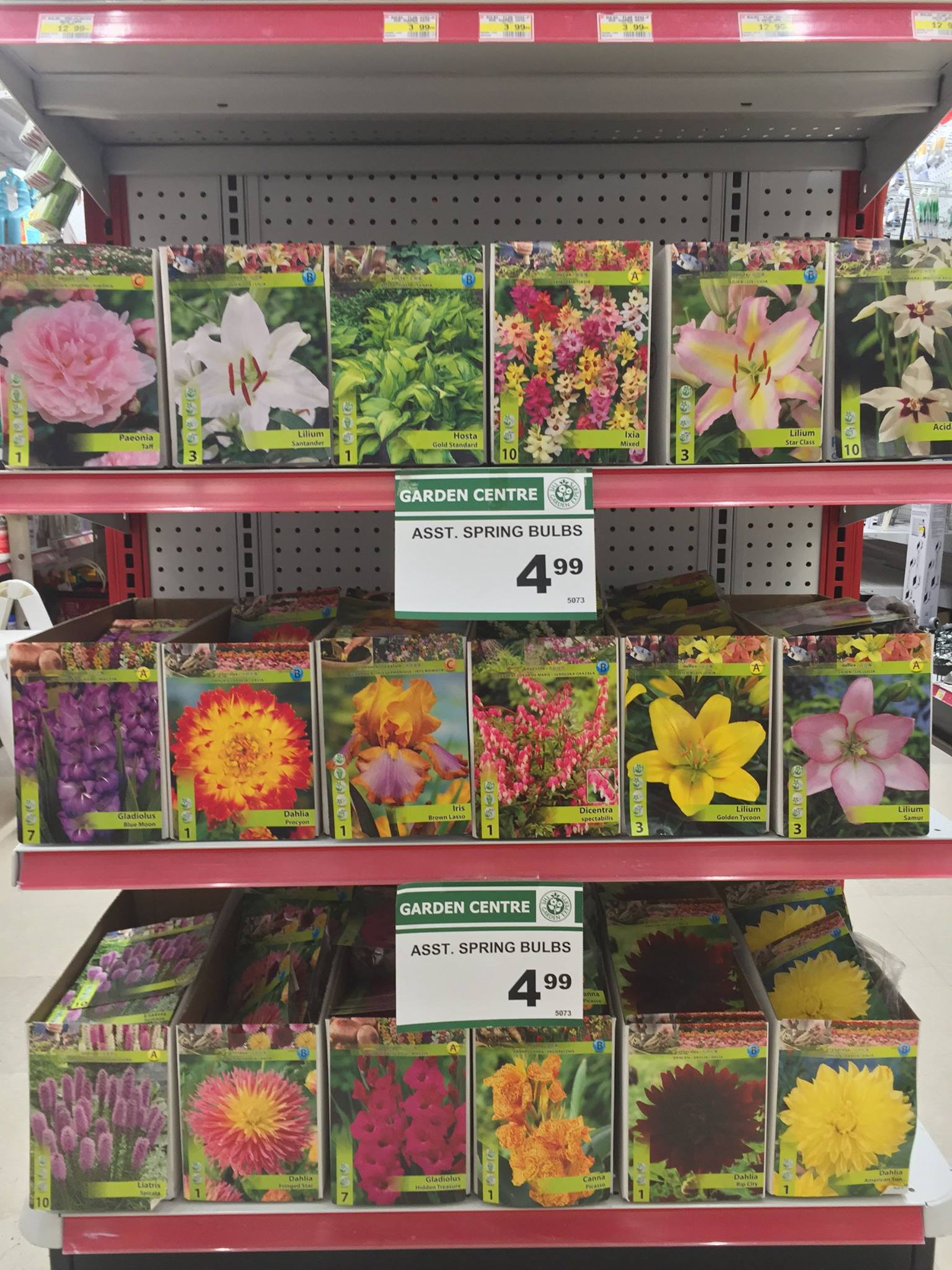 We have received our spring flower... - Capital Home Hardware | Facebook