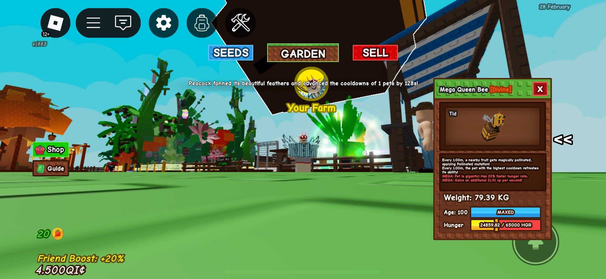 Grow a Garden ( Việt Nam ) | Cần qua tiền ( ko cân gdtg ) hoặc qua deal ...