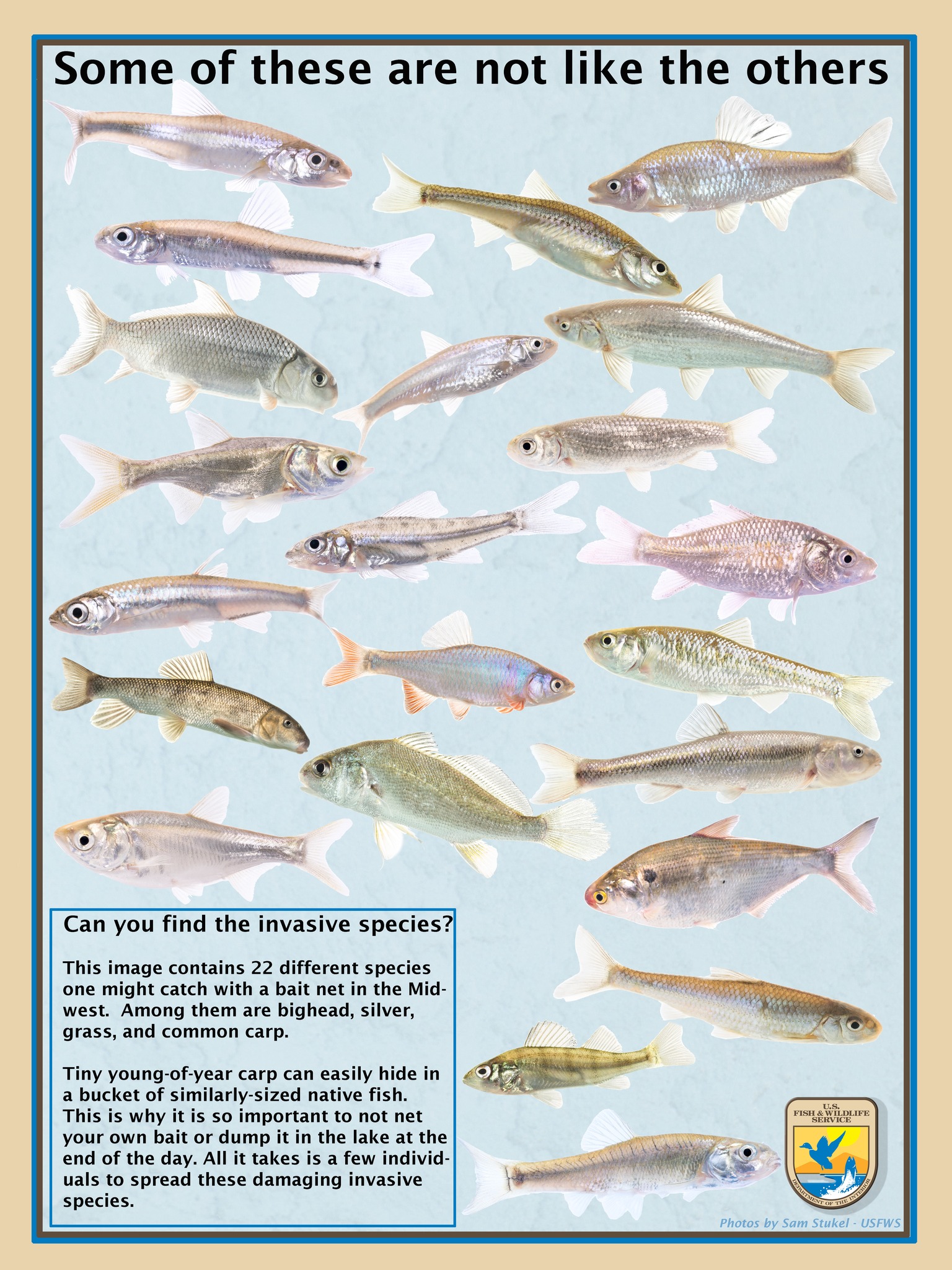 Michigan Chapter of the American Fisheries Society
