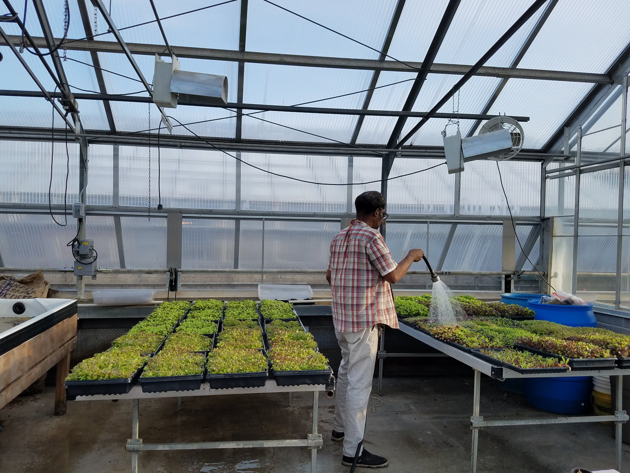 Holistic Health Farms | Saint Paul MN