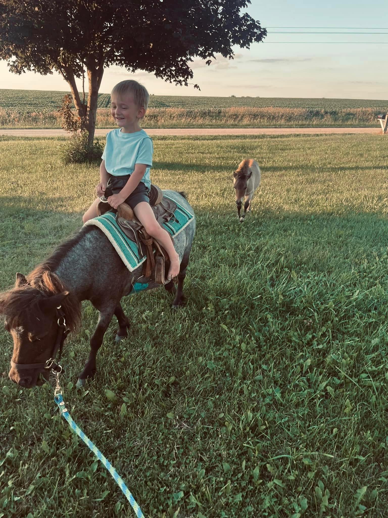 Meeks Family Farm