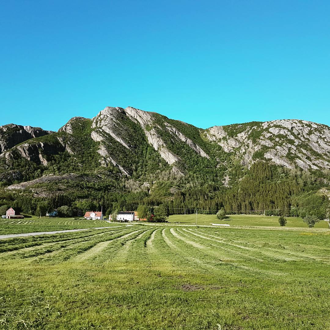 Steinvei Gård - Ferie fra den ene jobben, høygir i den andre... SLÅTTA ...