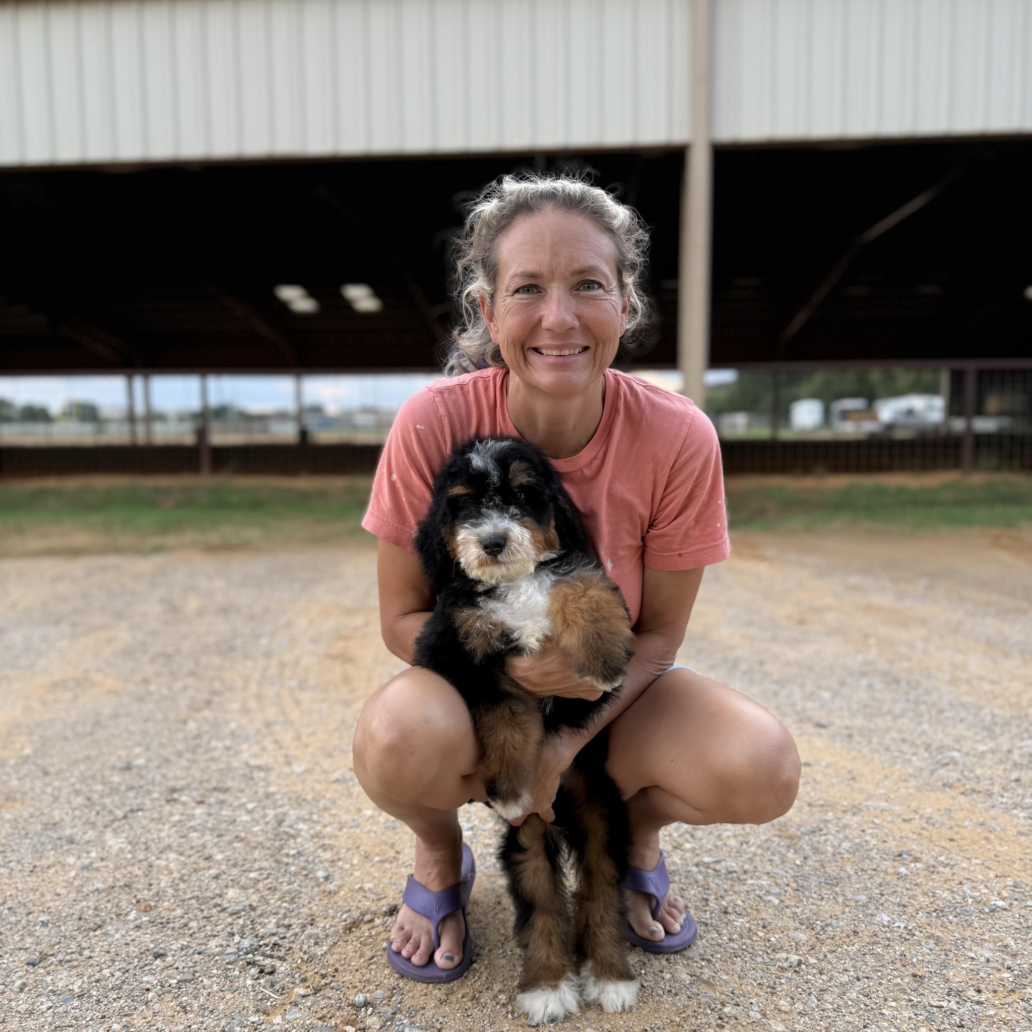 KB Ranch Doodles added a new photo. - KB Ranch Doodles