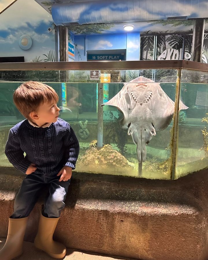 This is Finn and his favourite film is... - Exploris Aquarium