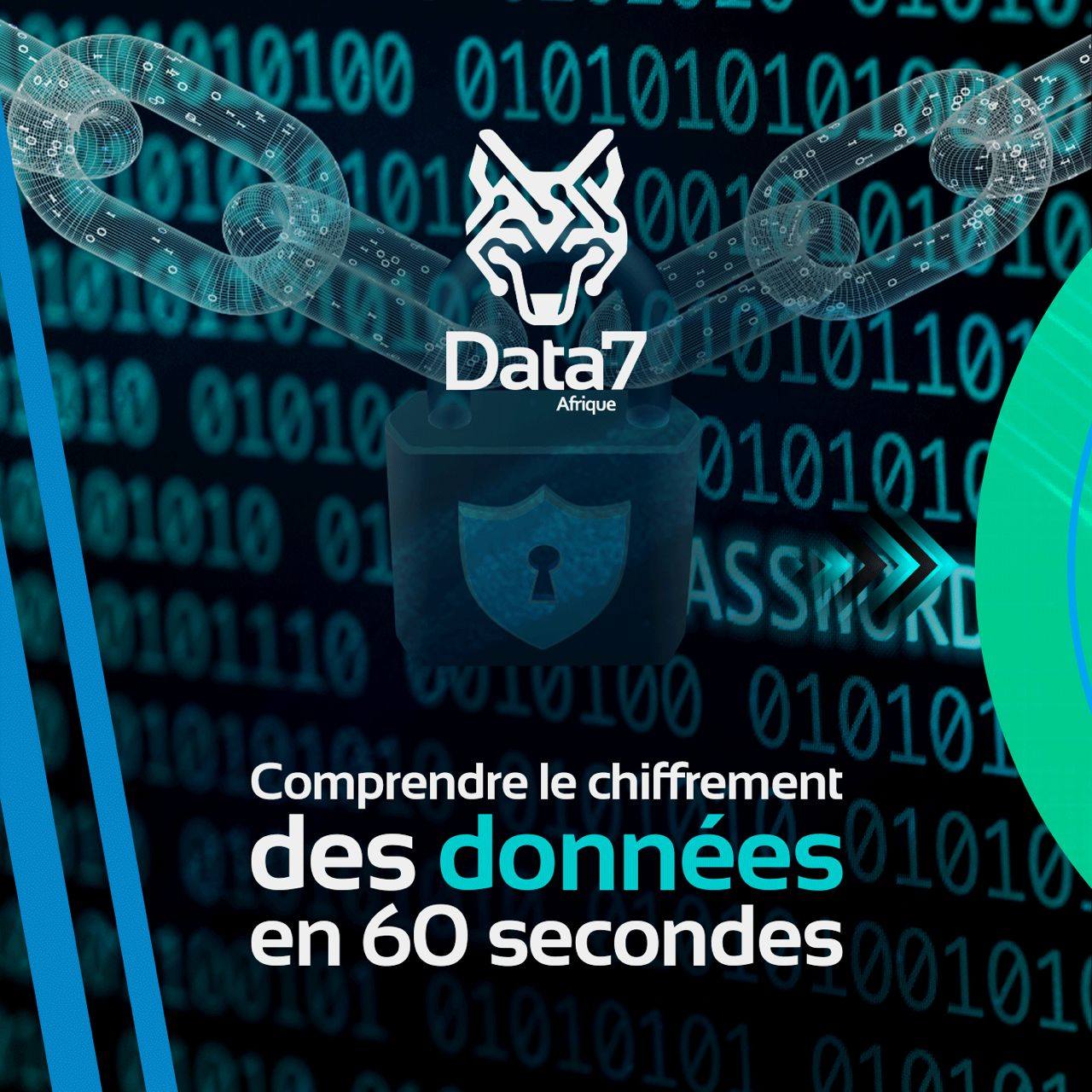Data 7 Afrique