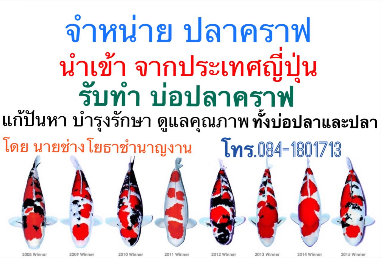 Koi Fish in Phu Pheem Koff... - Koi Fish in Phu Pheem Koff