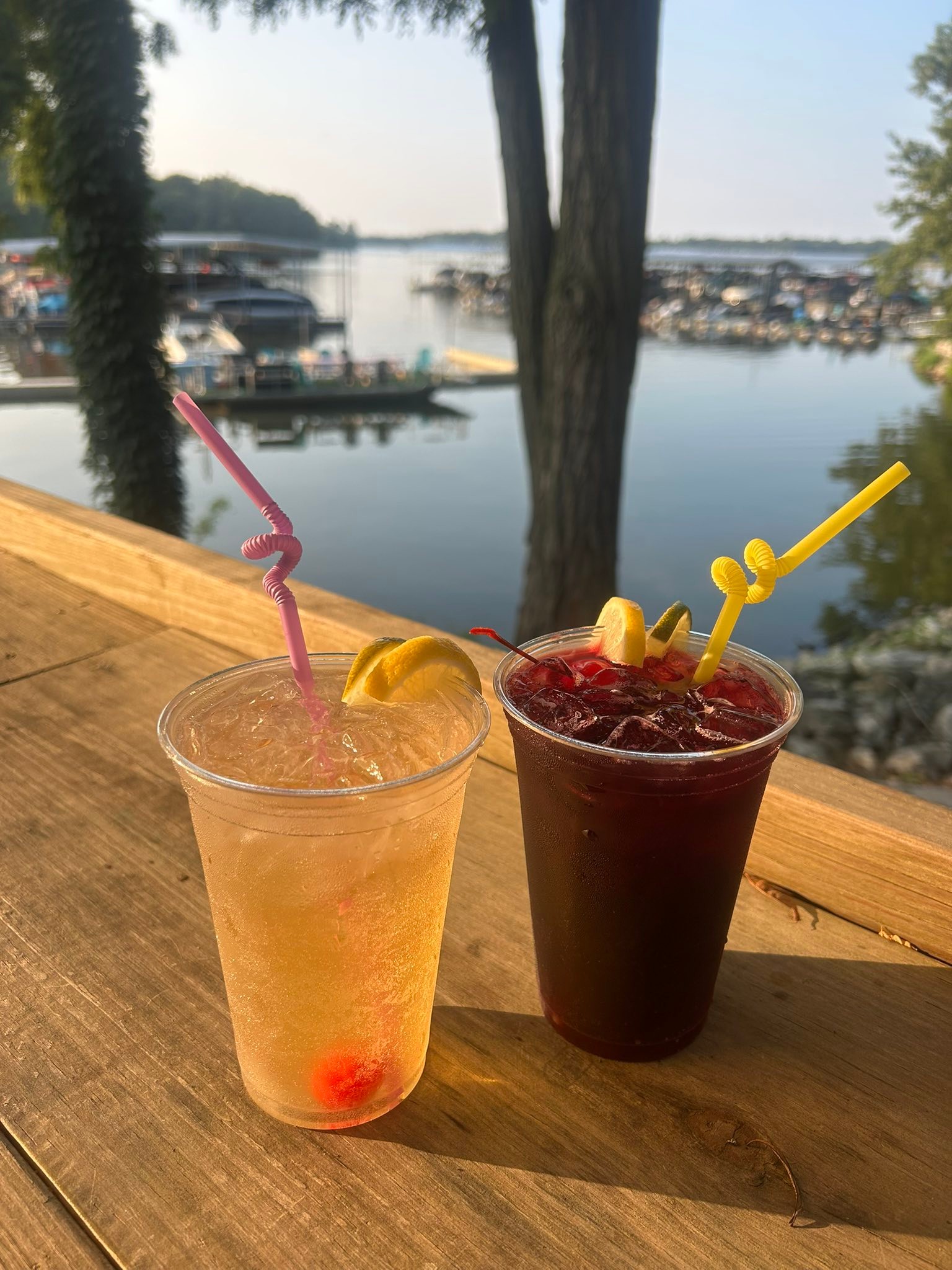 Dockside Grill at Lake Springfield Marina | Springfield IL