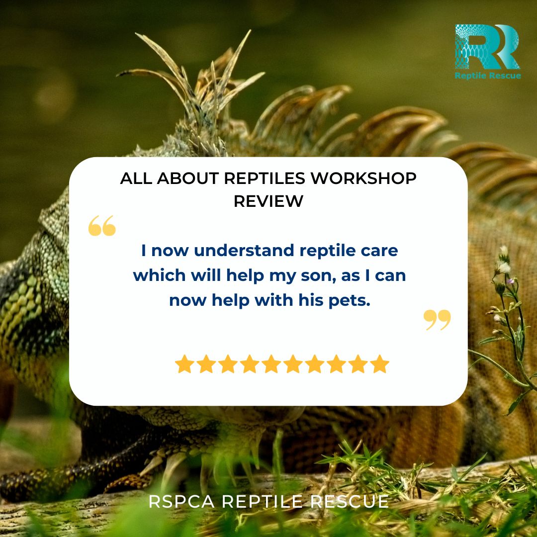 Check out this review from our... - RSPCA reptile rescue