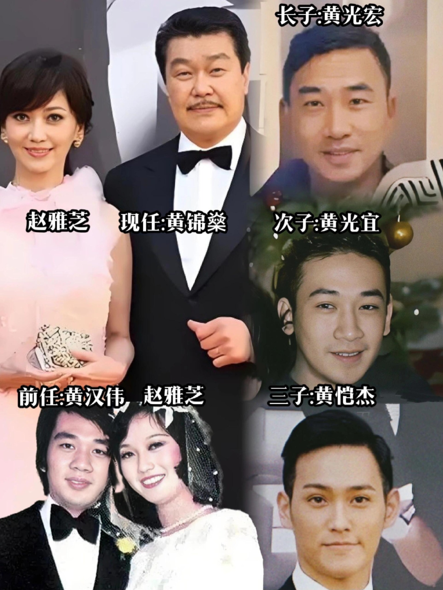 明星故事汇 - 趙雅芝長子黃光宏，次子黃光宜的生父不是現任 而是第一任丈夫:黃漢偉‌。三個兒子只有和現任丈夫所生的小兒子黃愷杰進了娛樂圈 ...