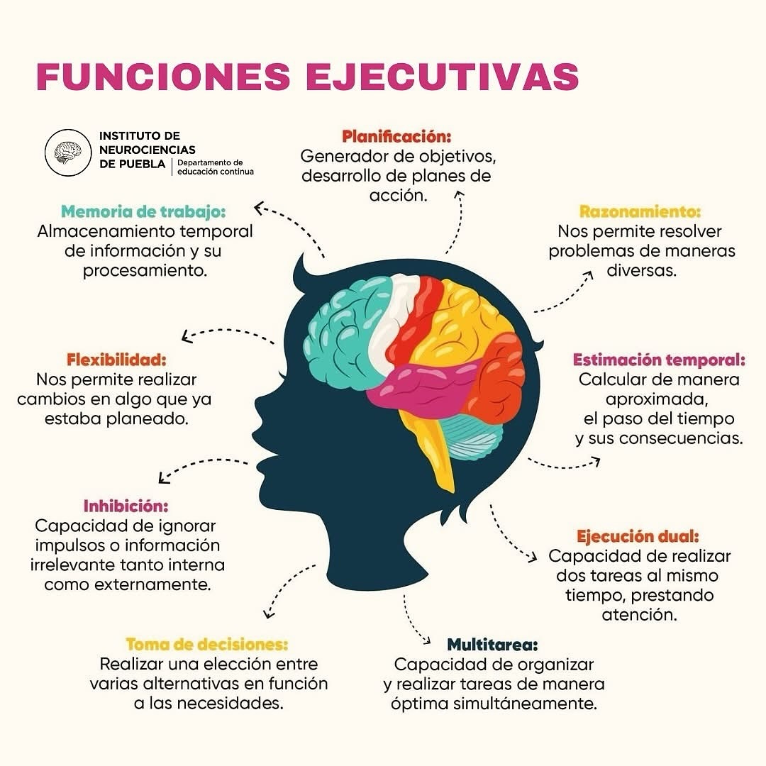 Instituto - 𝐅𝐮𝐧𝐜𝐢𝐨𝐧𝐞𝐬 𝐄𝐣𝐞𝐜𝐮𝐭𝐢𝐯𝐚𝐬 🧠 🧮 👉🏻 Las funciones ejecutivas son un ...