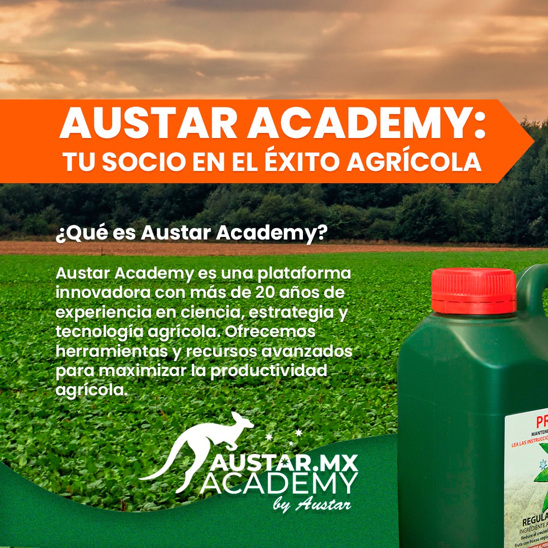 Austar Academy Latinoamérica