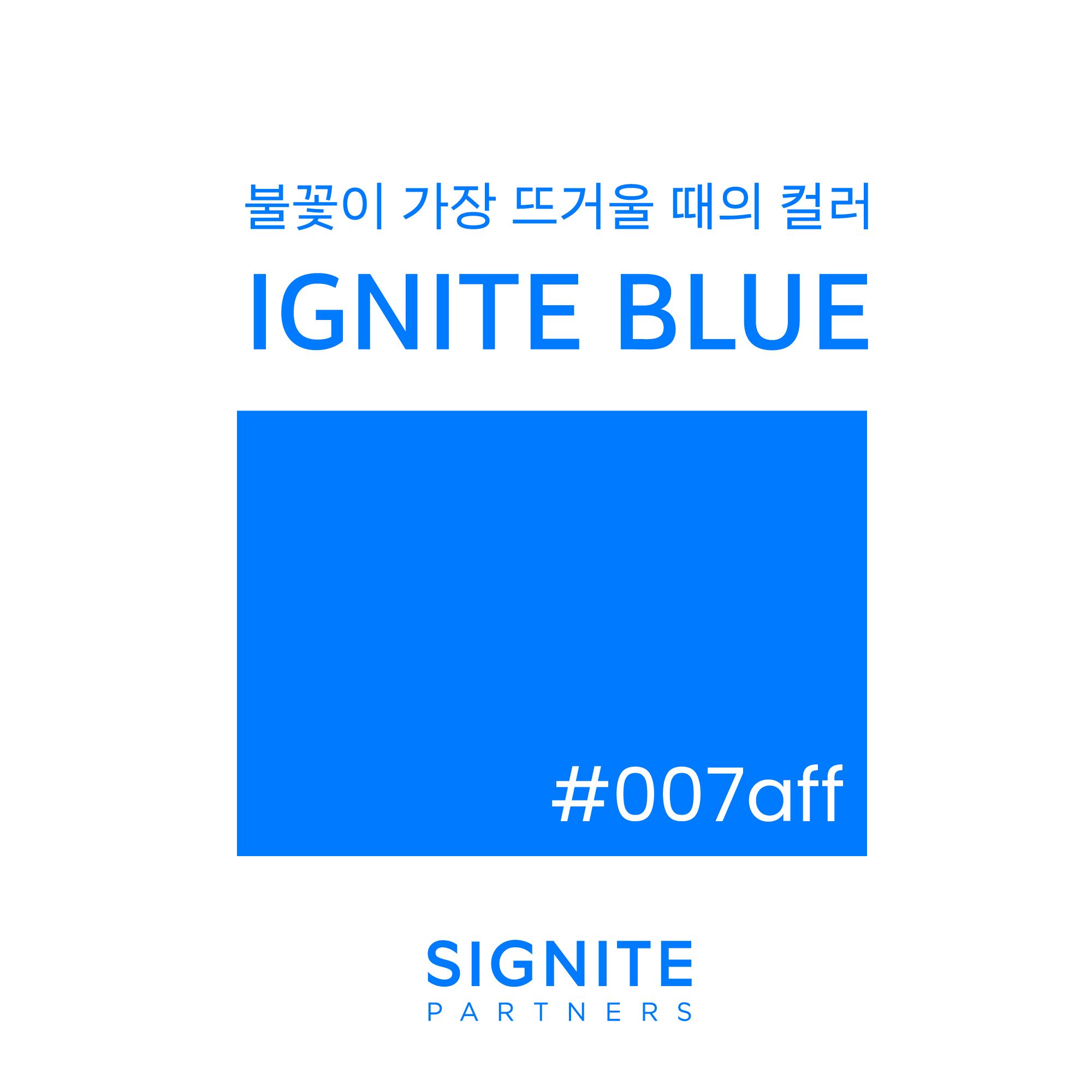 🦄안녕하세요 이그나이터님들! 오늘은 시그나이트의 컬러를... - SIGNITE PARTNERS