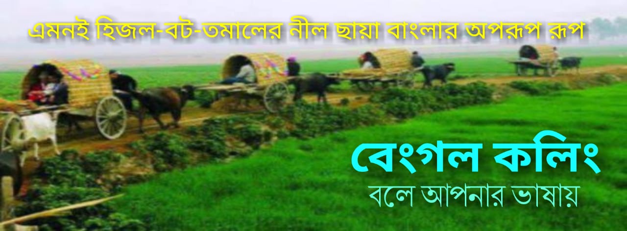 Bengal Calling