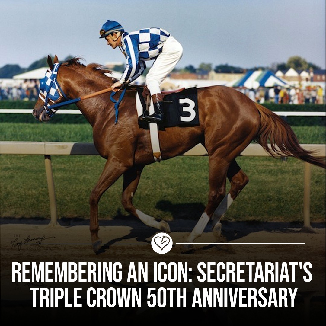 Horse - 🎉Today marks 50 years since the legendary Secretariat won the ...