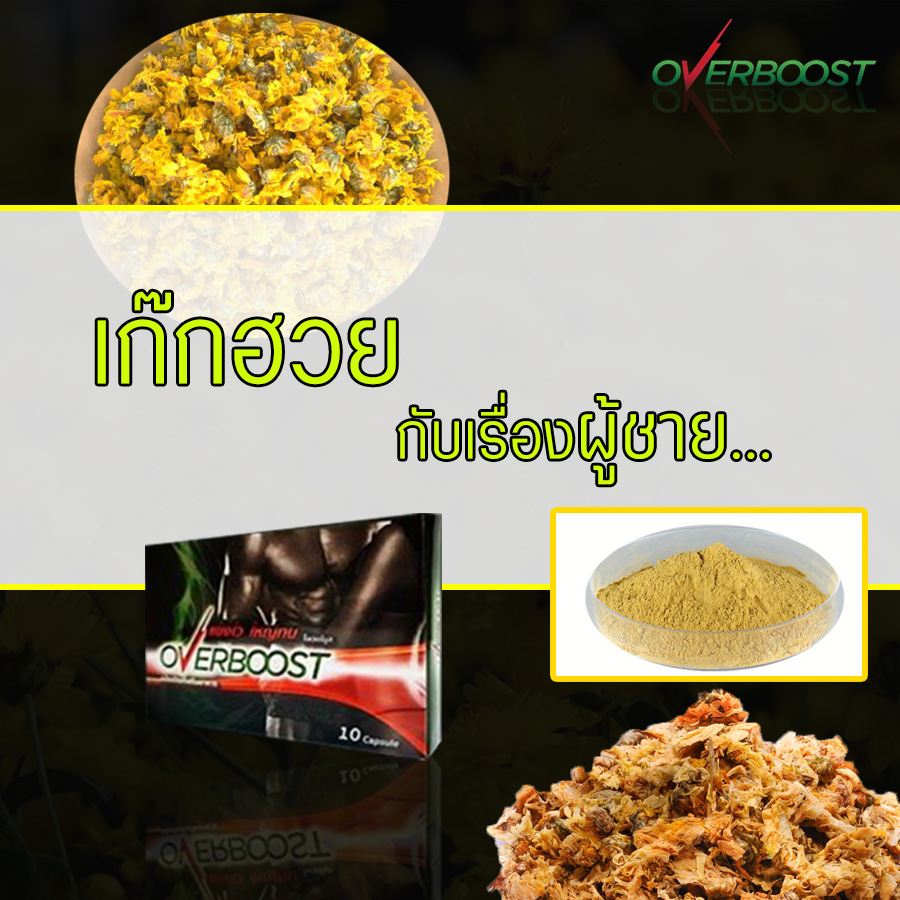 #เก๊กฮวย 🌼หรือ มีอยู่หลายสายพันธุ์... - Overboost Thailand | Facebook