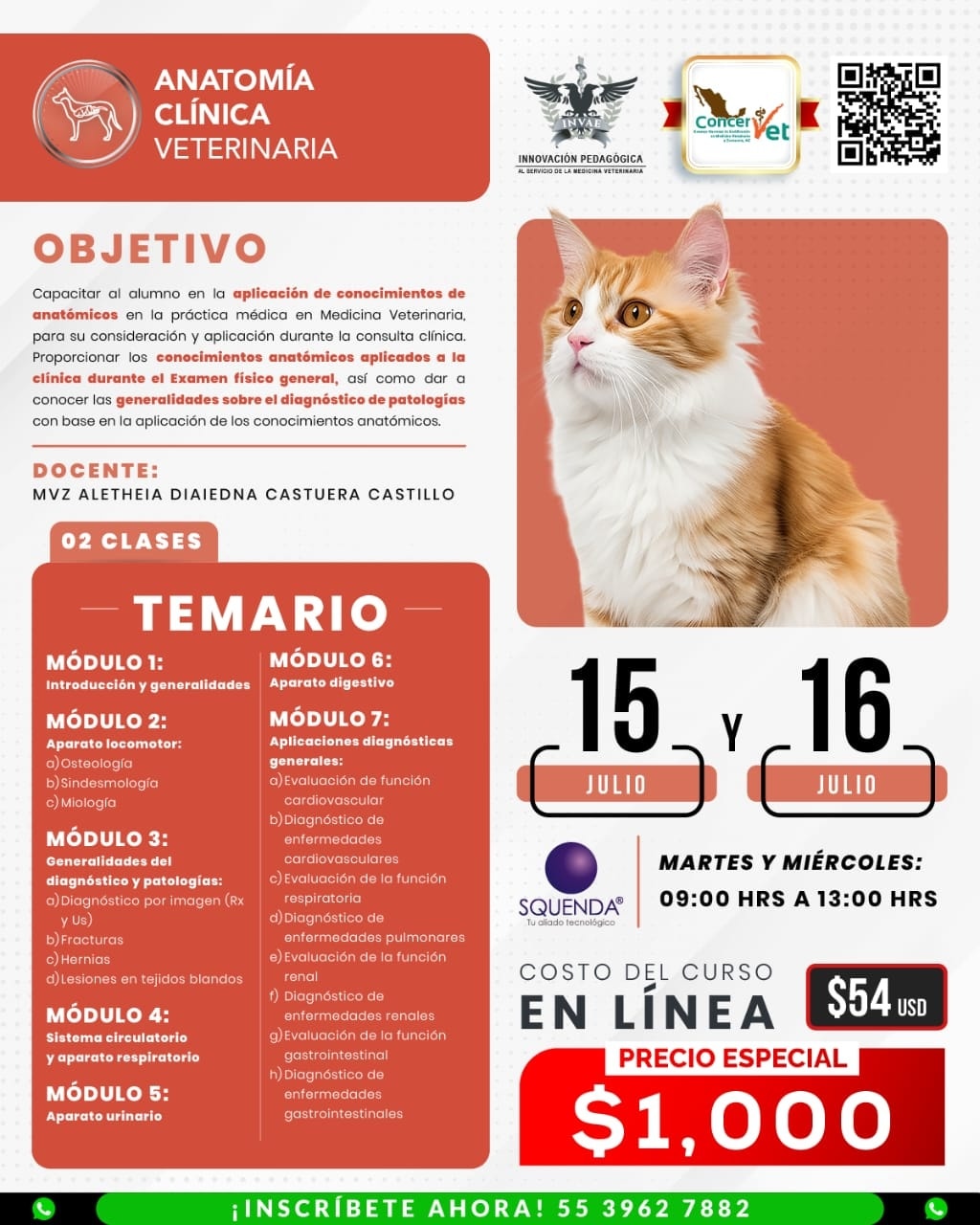 INVAE - Reconoce tipos de residuos, domina las etapas de manejo y ...