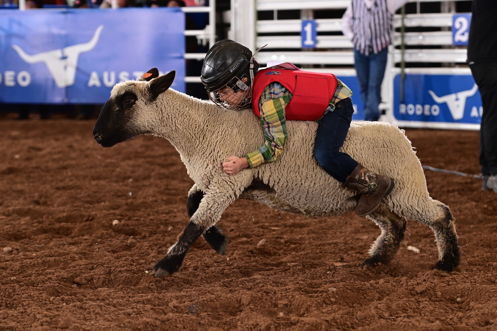 Rodeo Austin - UPDATE: Mutton Bustin' in the Rodeo Arena...