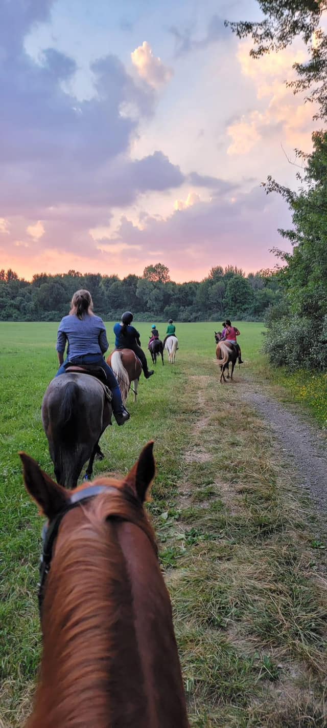 Masterfare Equestrian Center | Johnstown OH