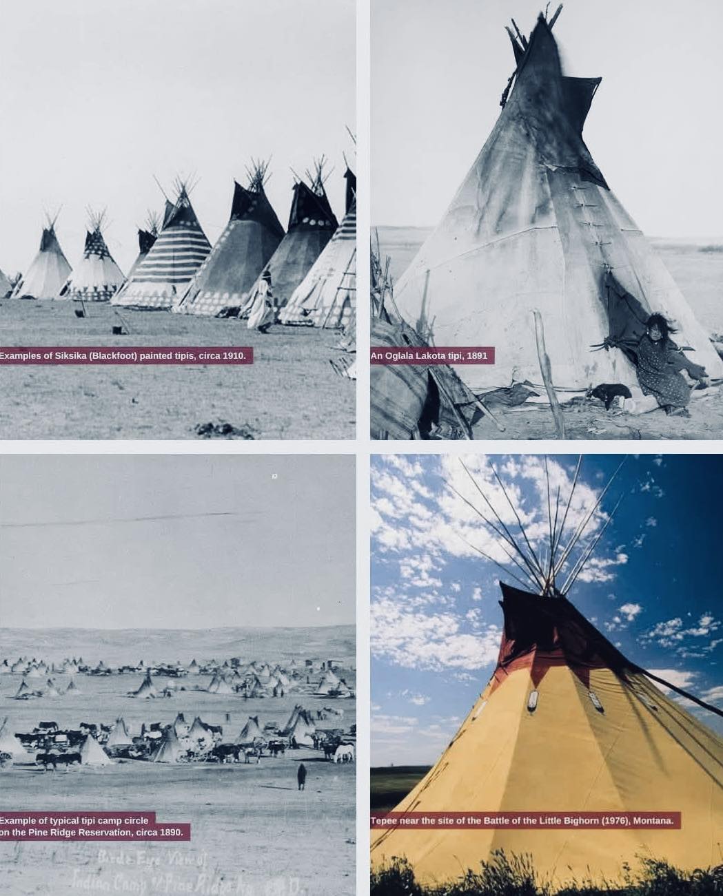 Lynda - The tepee is more than a dwelling — it is a symbol of ingenuity ...