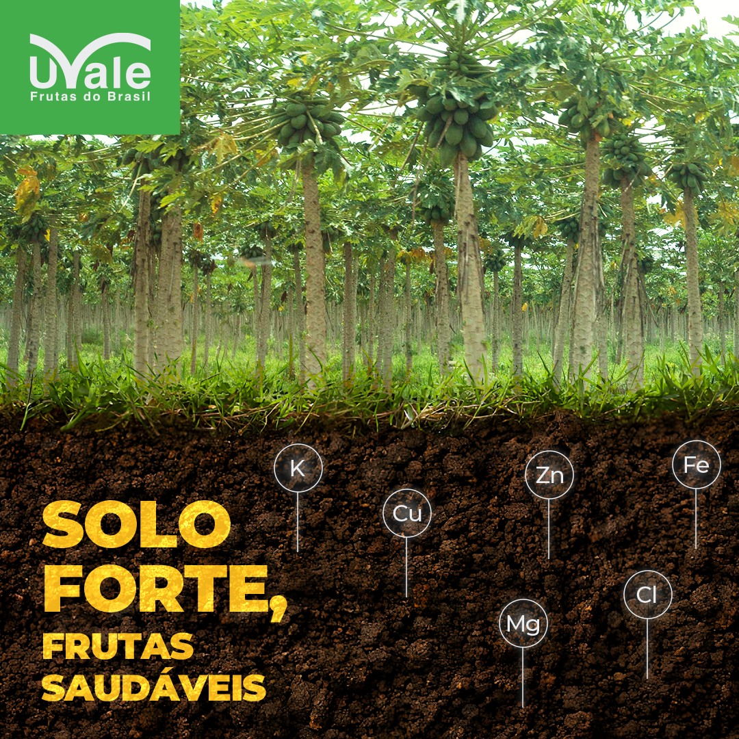 Onde nasce a essência de nossos... - Uvale Frutas do Brasil