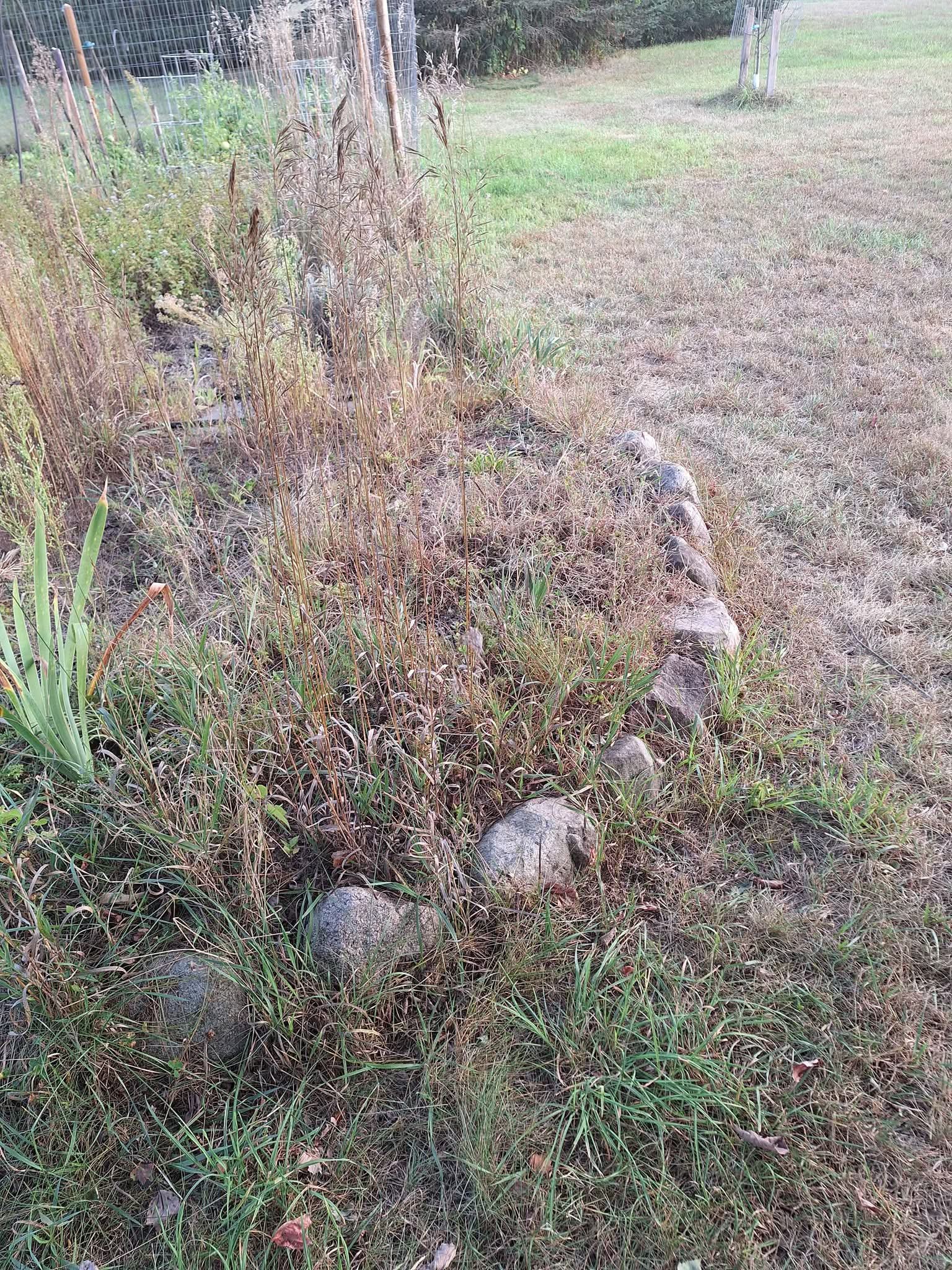 Football sized landscape rocks. Free!! Can you dig it? - Landscaping ...