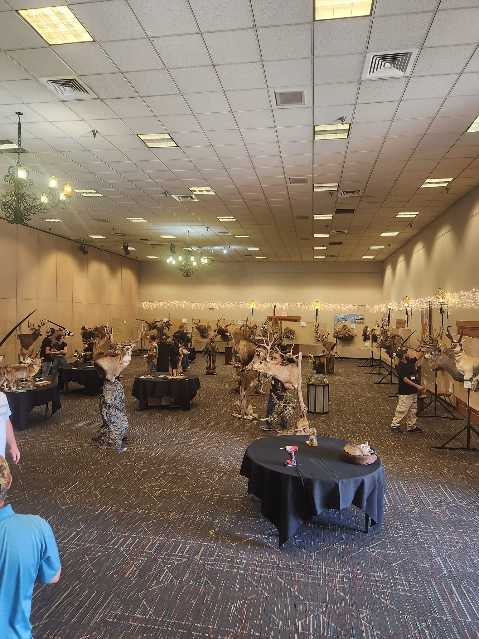 Less Than 2 Weeks Nm Council Of Outfitters And Guides Photo Inspiration