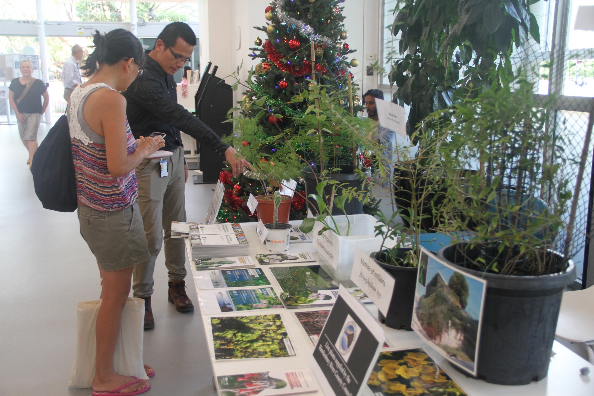 Yesterday was the official opening... - Strathfield Council
