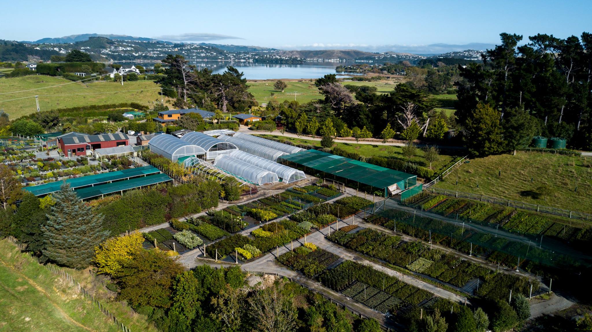 Leacroft Nurseries | Porirua