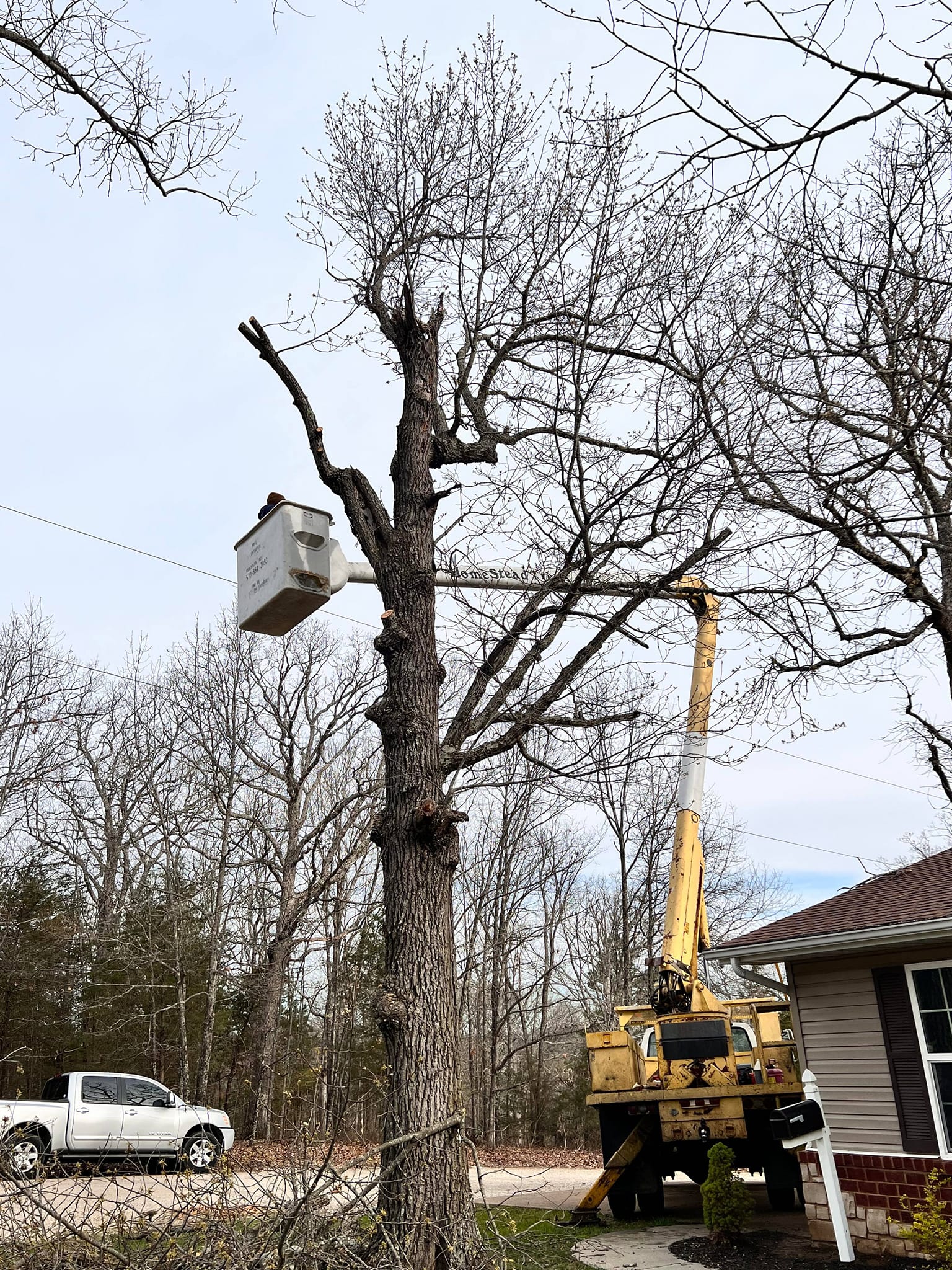 Homestead Tree Service | Belgrade MO