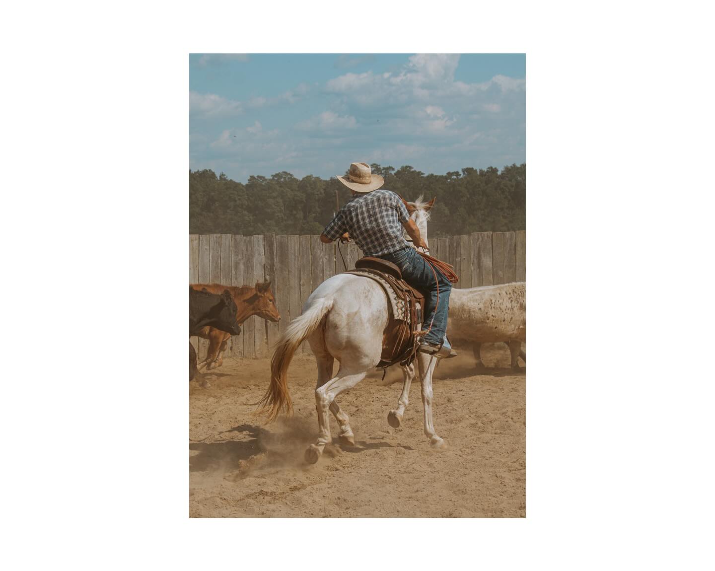 Matilda Rae Photography