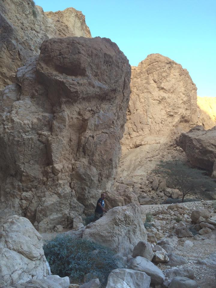 ערבה - ‎ערבה‎ added a new photo.