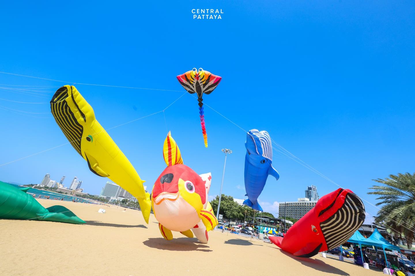 Central Group - [#CGUPDATE] บรรยากาศสุดคึกคัก! 🪁🐠🦀🌊⛅️...