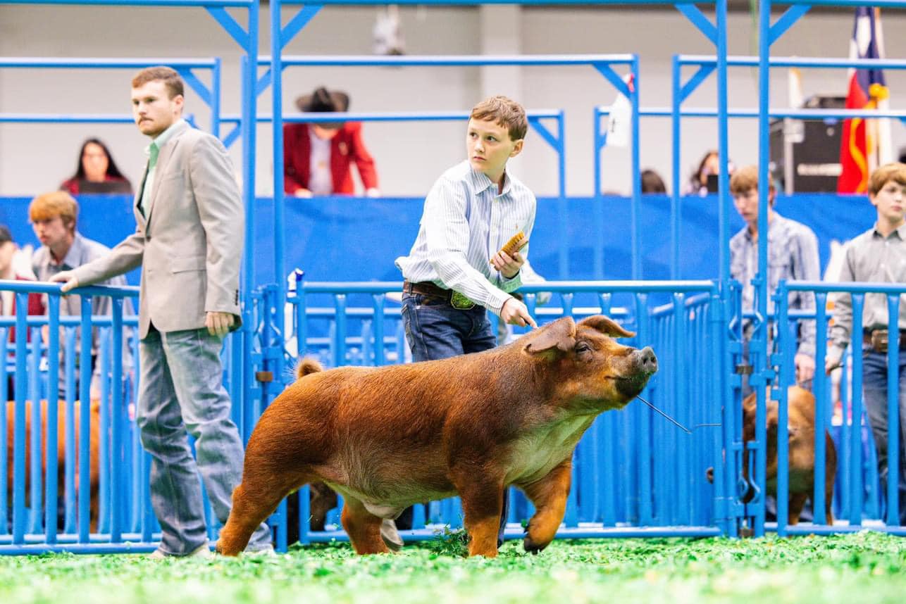 Sandy Ridge Farms | Rensselaer IN