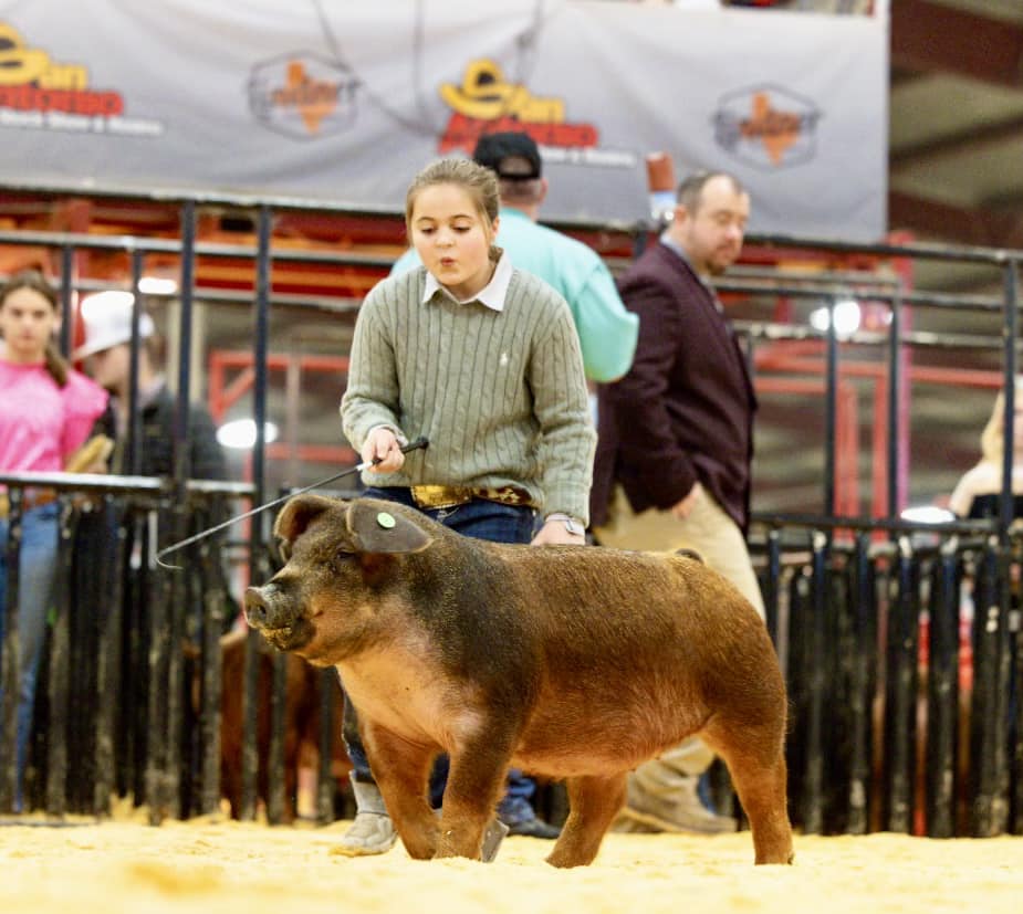 Sandy Ridge Farms | Rensselaer IN