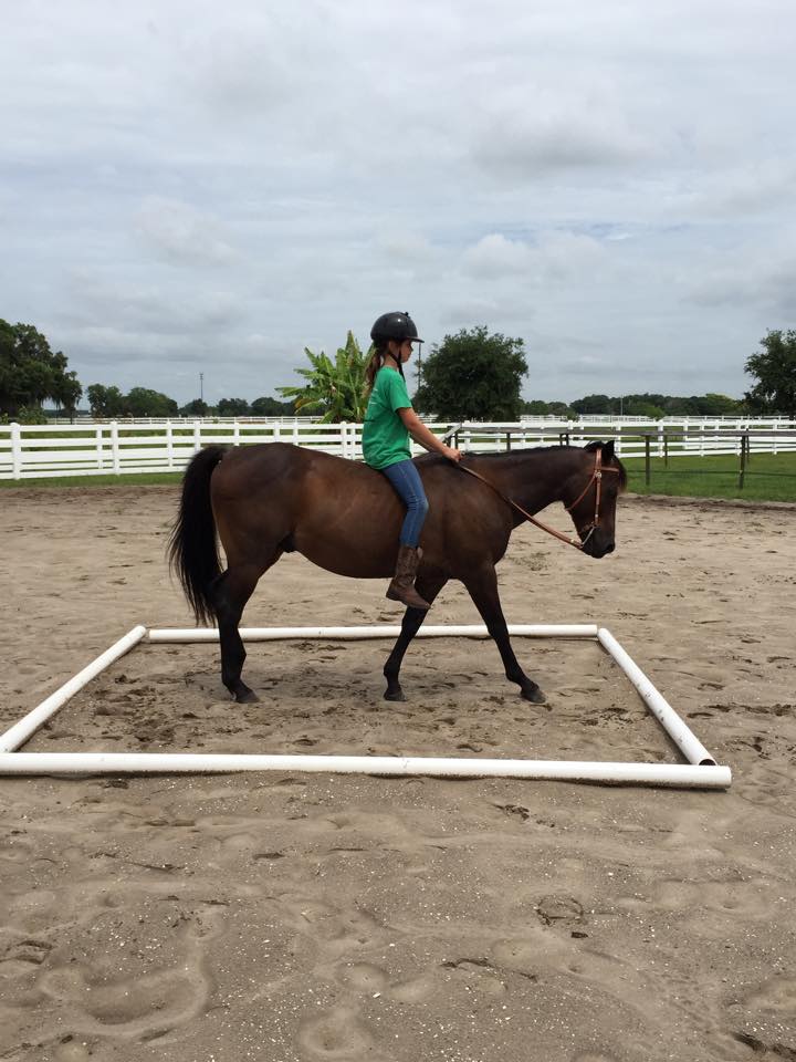 Diamond P Equestrian Center... - Diamond P Equestrian Center