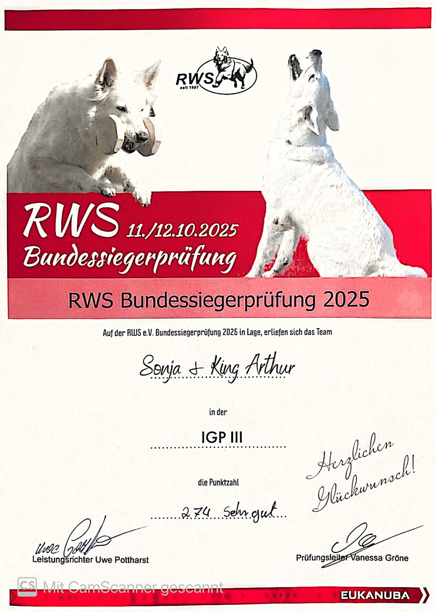 Hundesportverein Sommerried e.V. Osthofen | Osthofen