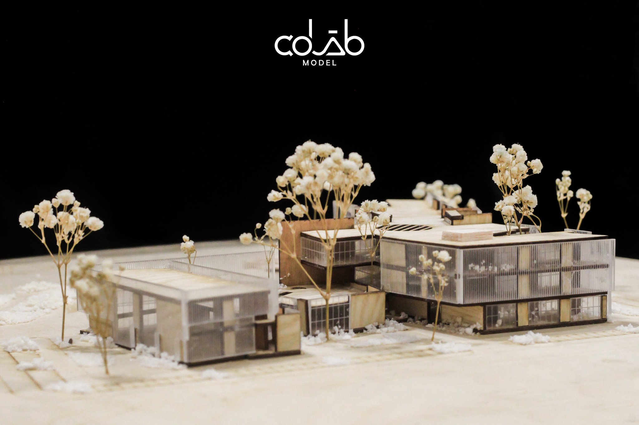 Co LAB Model - [ MÔ HÌNH ĐỒ ÁN TỐT NGHIỆP ] Mô hình đồ án...
