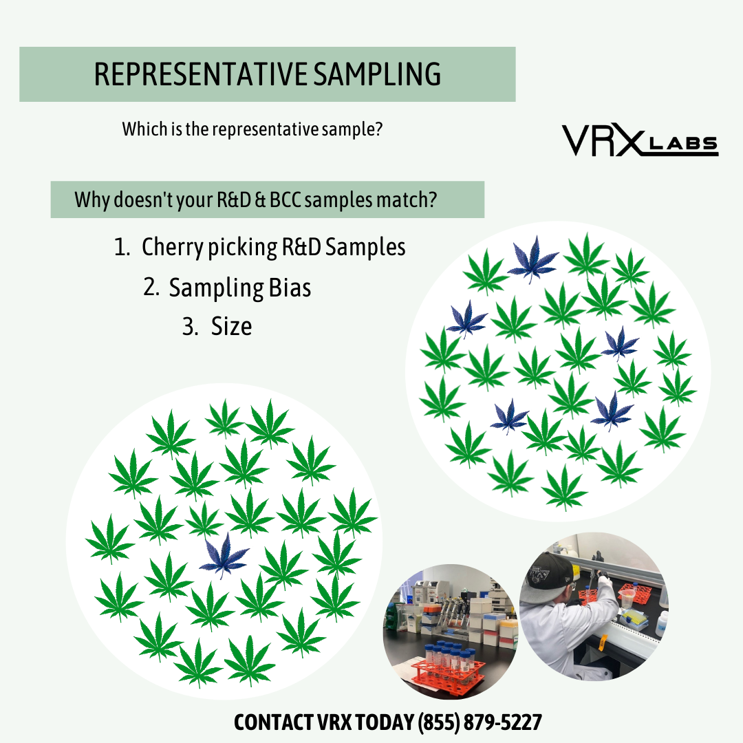 VRX Labs