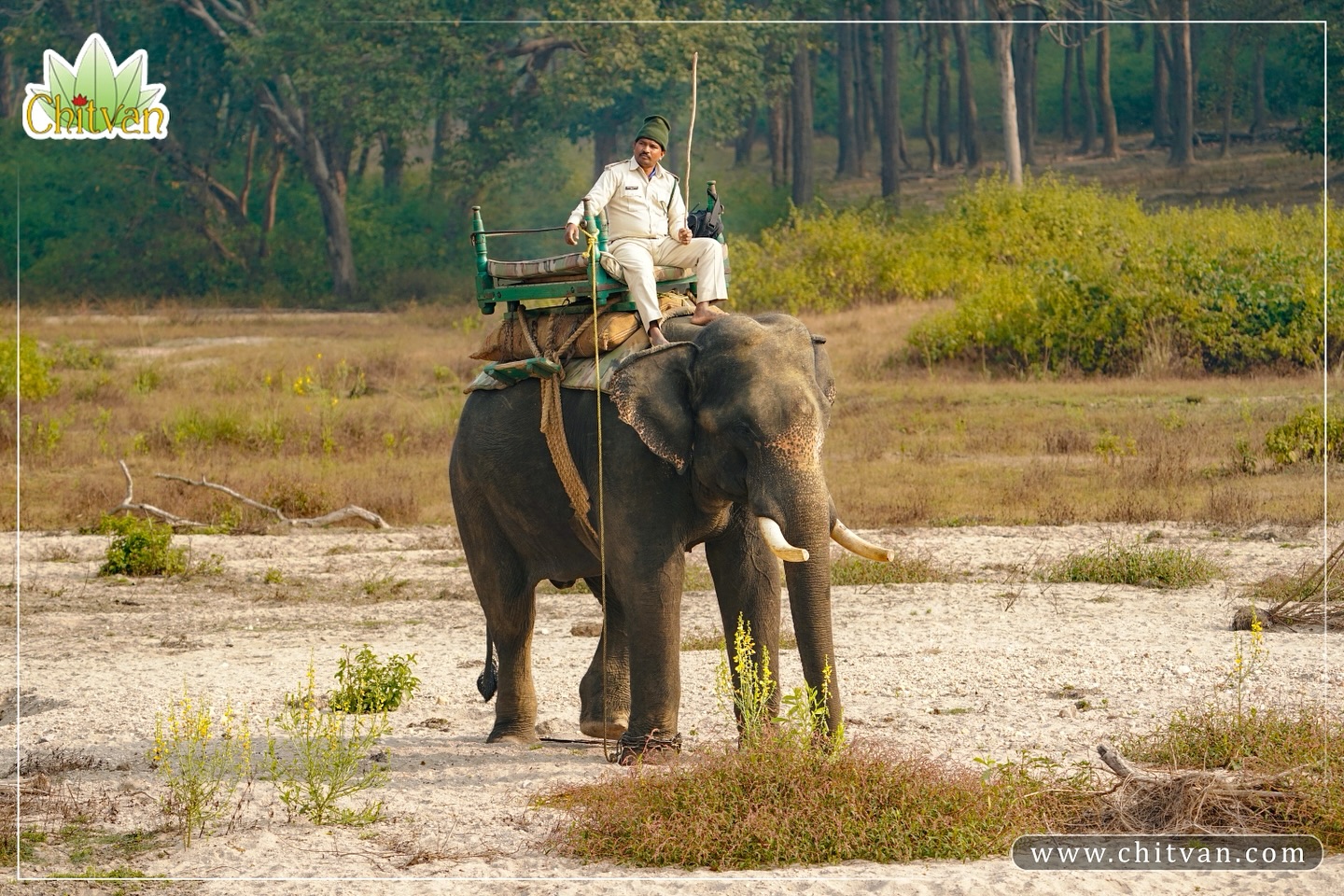 Chitvan Jungle Lodge, Kanha National Park, India | Kanha