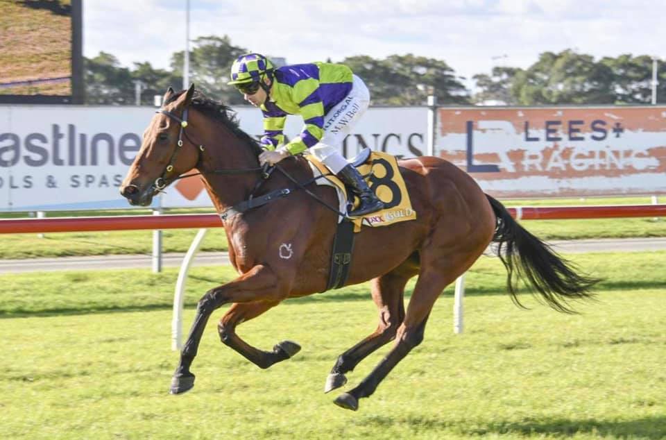 Doyle Racing - Doyle Racing has three Runners at our home Track of ...