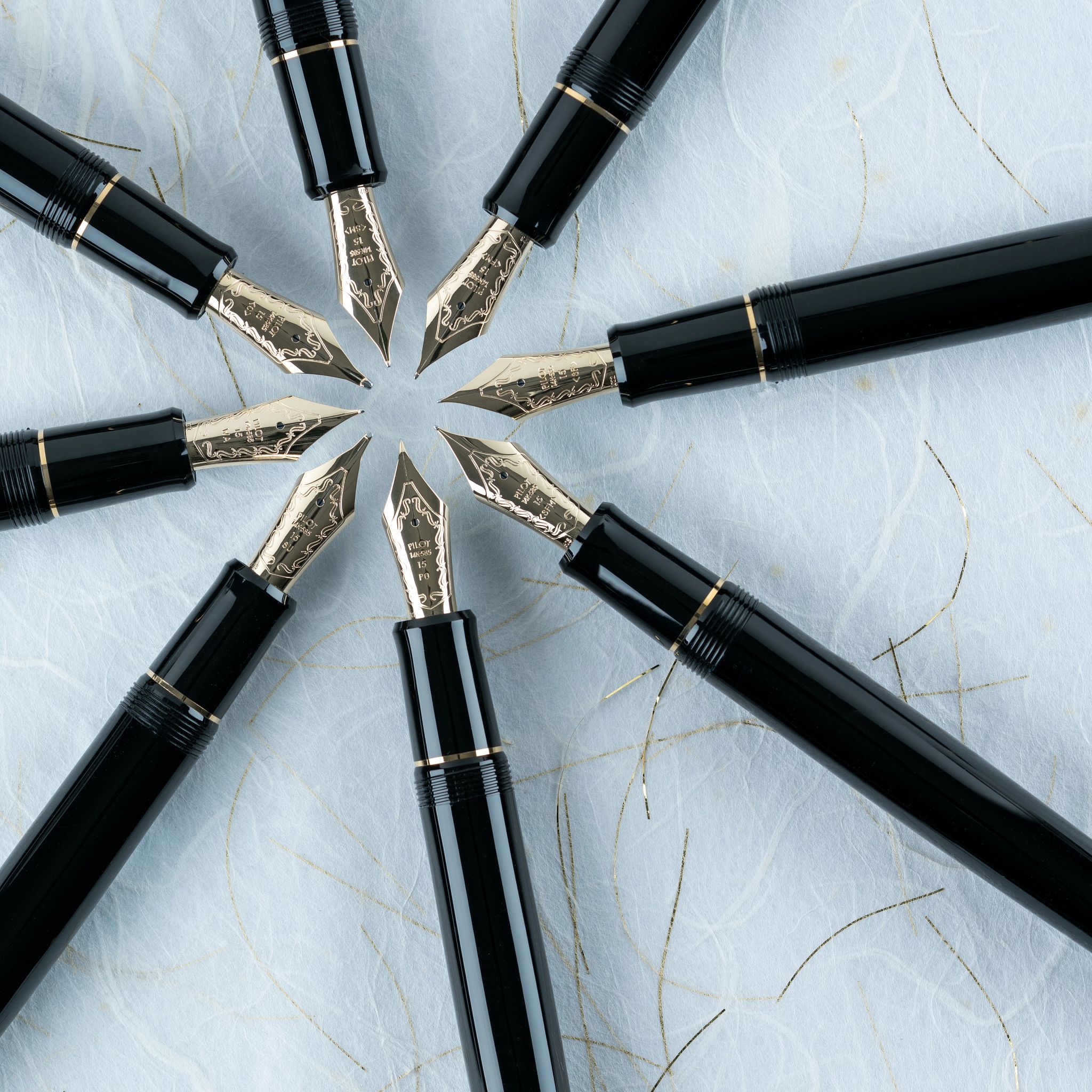 Introduction and customized Pilot Custom 67 fountain pen