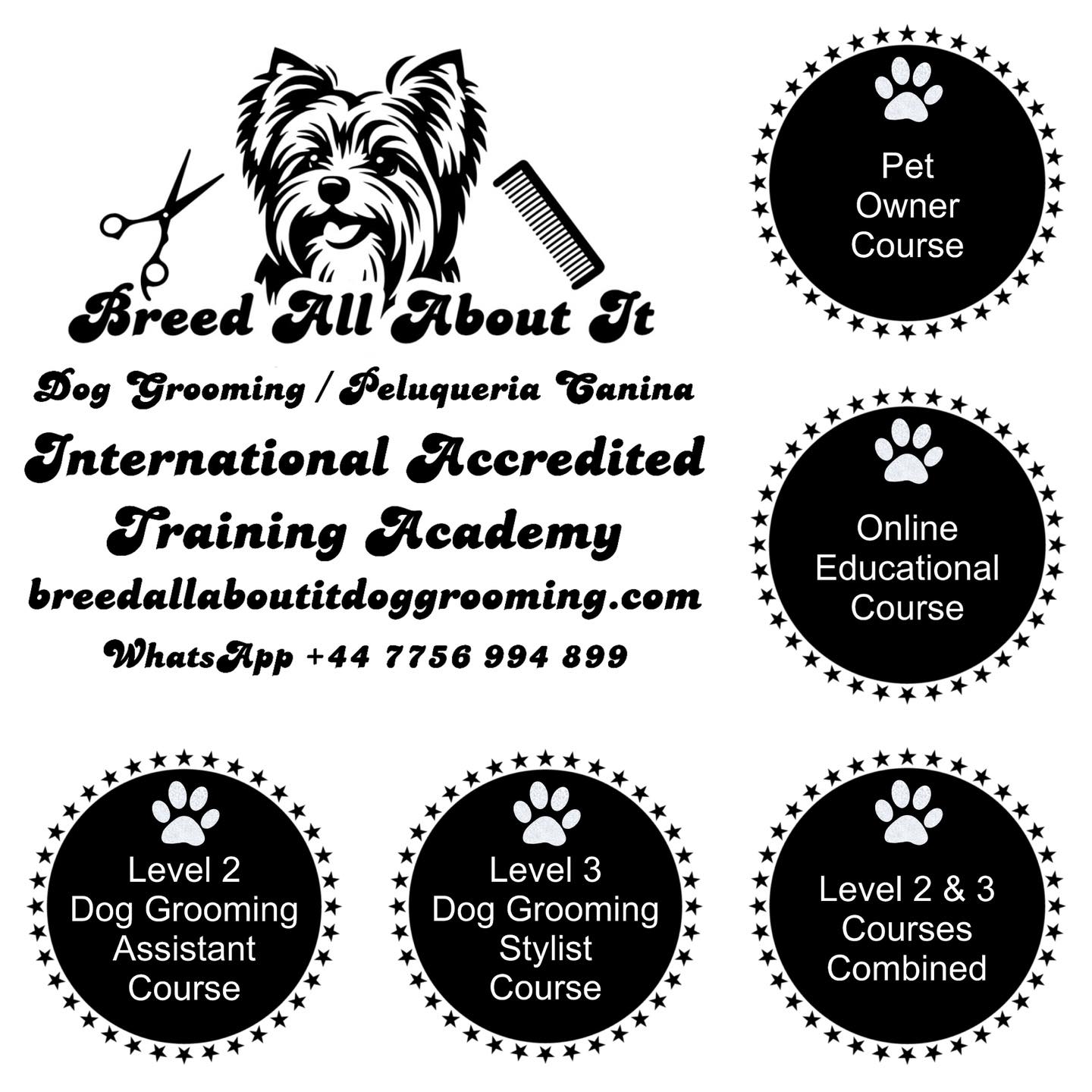 Breed All About It Dog Grooming & Training Academy | Alicante - Grooming Certification For Dog Owners Course