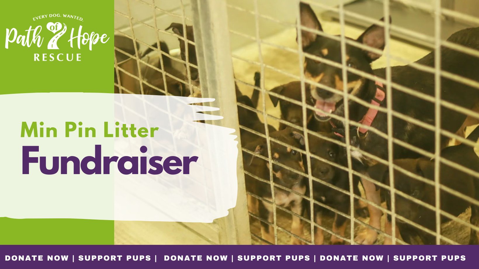 Path of Hope Rescue added a new... - Path of Hope Rescue