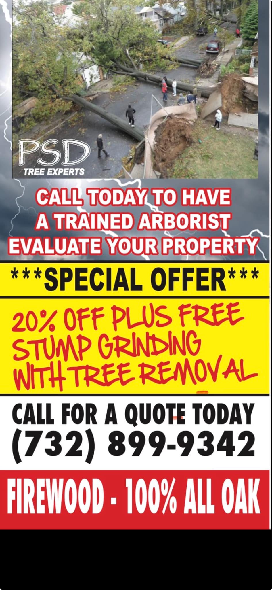 PSD Tree Experts | Point Pleasant NJ