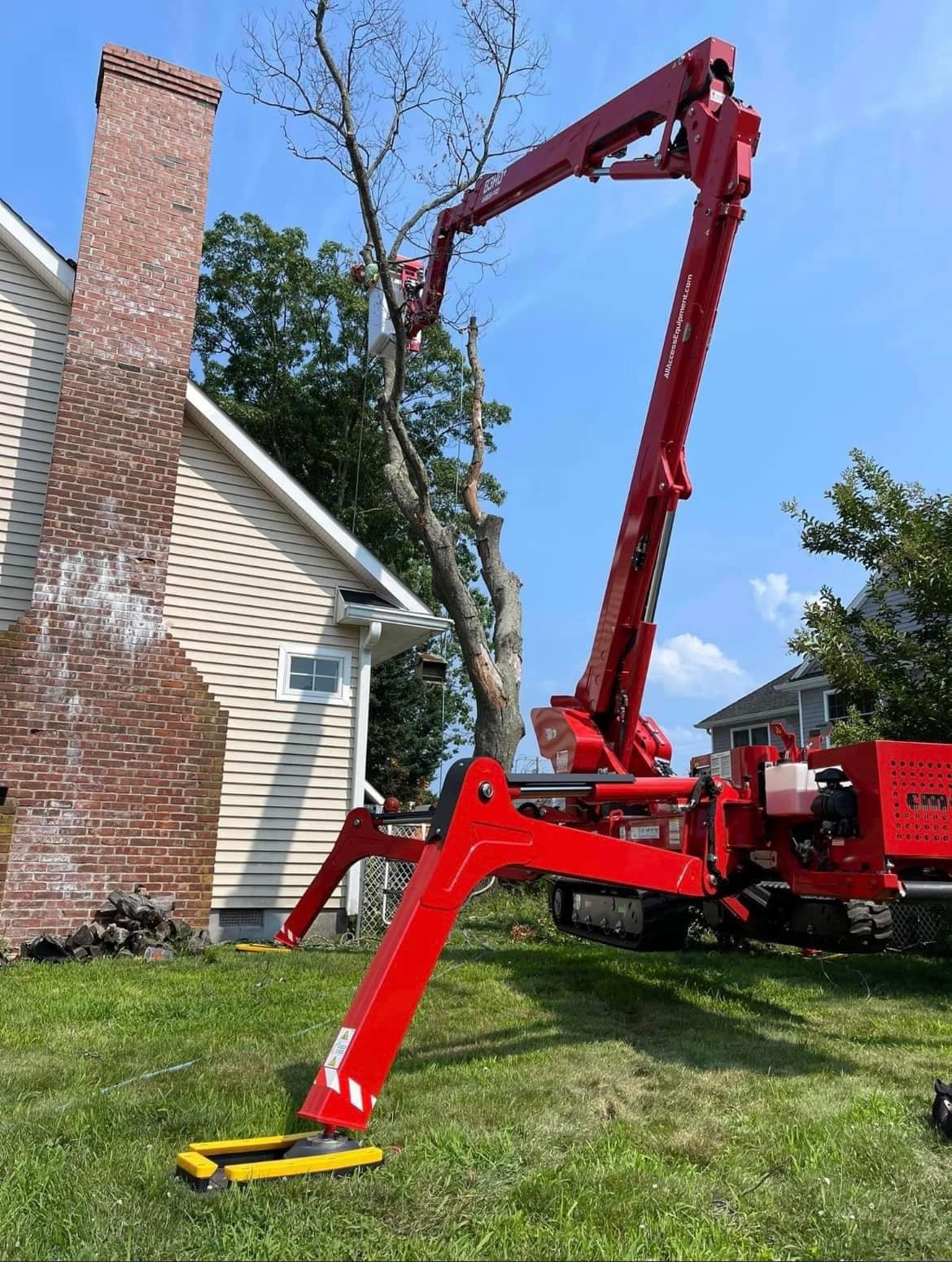 PSD Tree Experts | Point Pleasant NJ