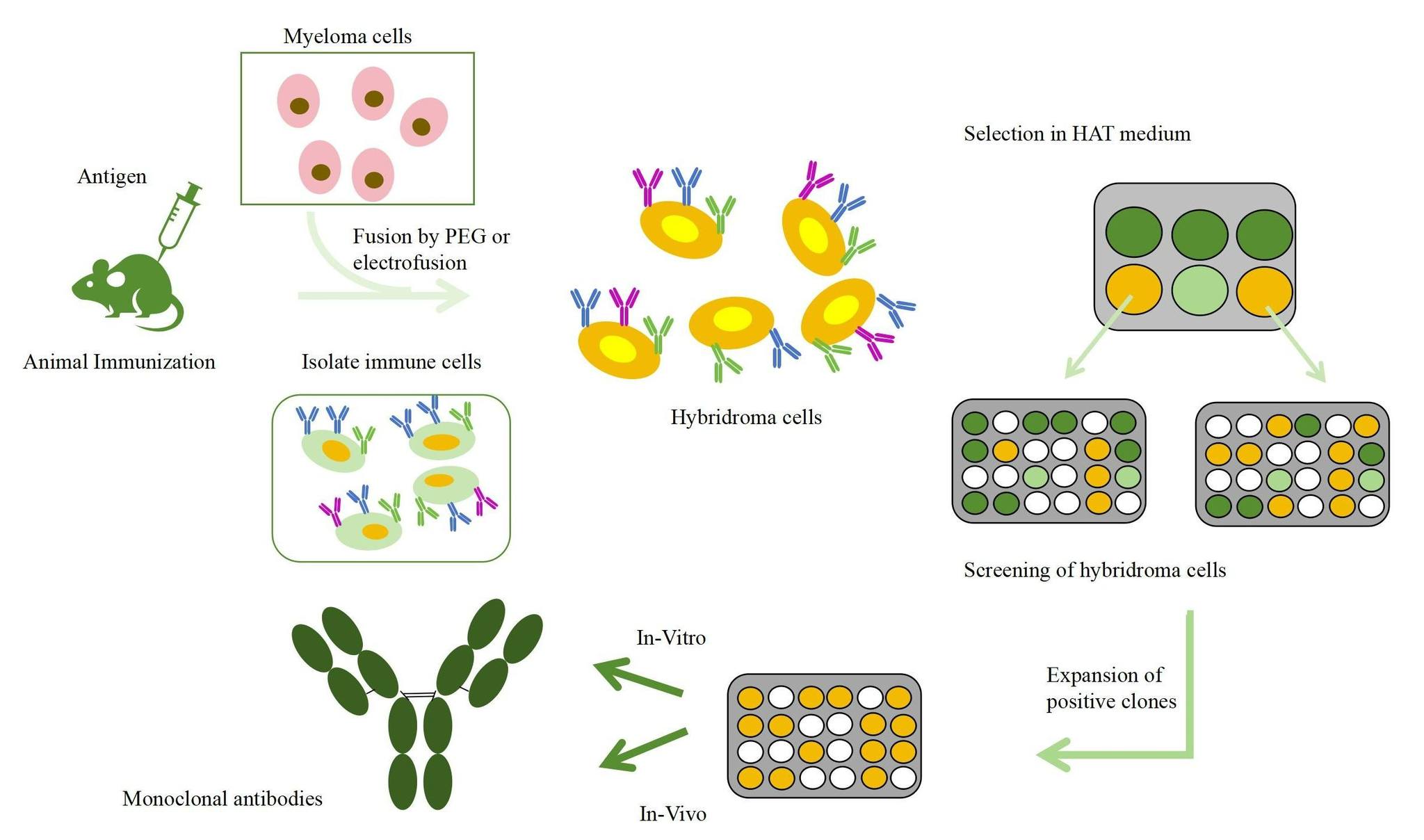 Alpha Lifetech - 🔬 Advancing Precision Medicine with... | Facebook