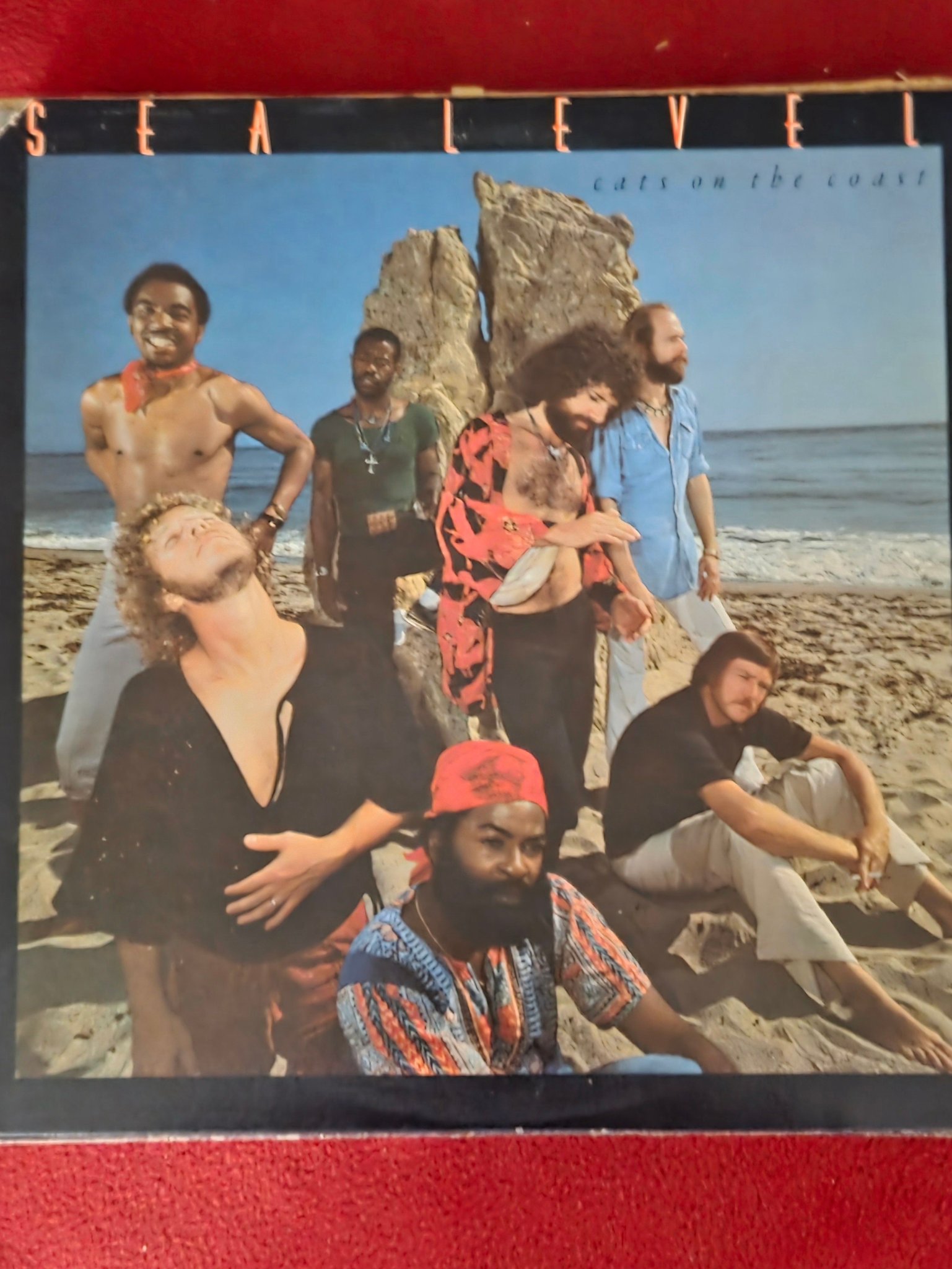 Sea Level band from Allman Brothers break-up